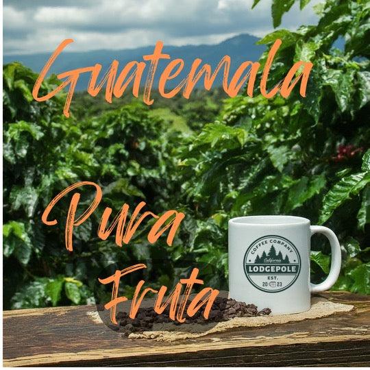 Limited Offering! Guatemala Pura Fruta