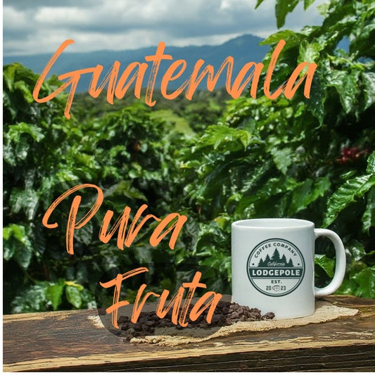 Limited Offering! Guatemala Pura Fruta
