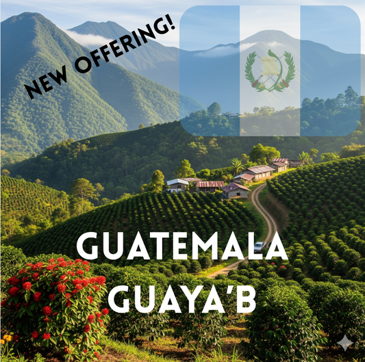 Guatemala Guaya'b